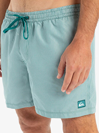 Quiksilver Everyday Deluxe Volley 15 Erkek Deniz Şortu