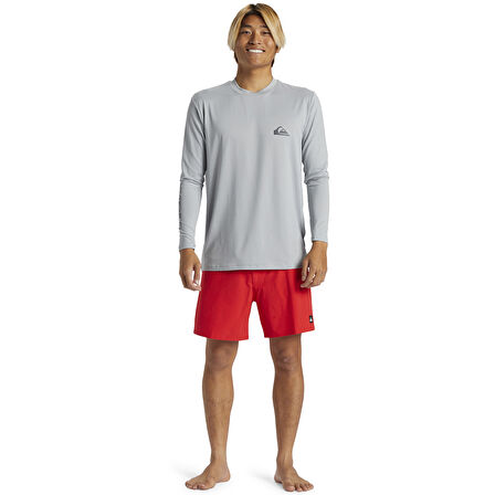 Everyday Surf Erkek Gri Güneş Korumalı T-Shirt AQYWR03136-QUA