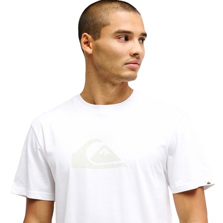 Quiksilver Erkek Tişört Ev Comp Logo