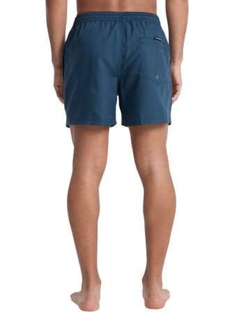 Quıksılver Deluxe 15 Erkek Total Eclipse - Solid Volley Short Eqyjv04101-6800