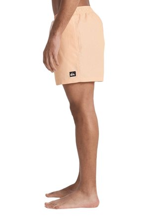 Quiksilver Deluxe 15 Erkek Deniz Şortu