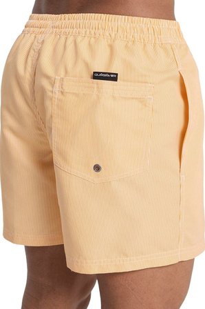 Quiksilver Deluxe 15 Erkek Deniz Şortu