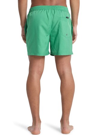 Quiksilver DELUXE 15 Yeşil Erkek Şort Mayo