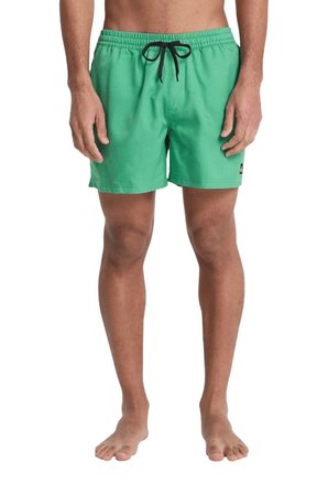 Quiksilver Deluxe 15 Erkek Deniz Şortu
