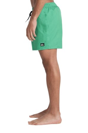 Quiksilver Deluxe 15 Erkek Deniz Şortu