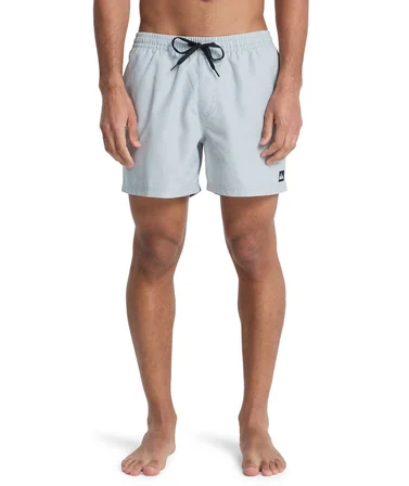 Quiksilver EVERYDAY 15 Erkek Şort EQYJV04120-QK.3082