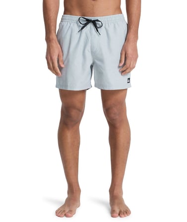 Quiksilver EVERYDAY 15 Erkek Şort EQYJV04120-QK.3082