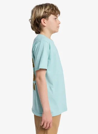 Quiksilver Mavi Erkek Çocuk T-Shirt EQBZT04963-FRUITS TIDE SS