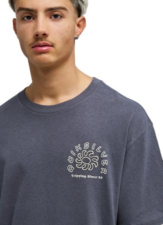 Quiksilver CURVE PALM Gri Erkek T-Shirt