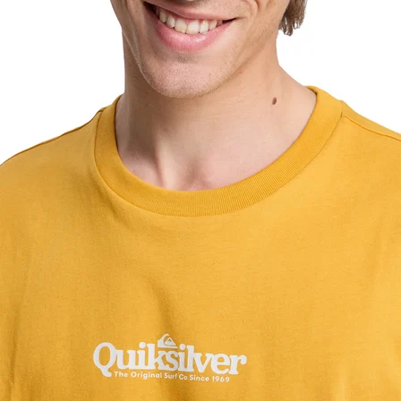 Quiksilver Erkek Tişört Fineline
