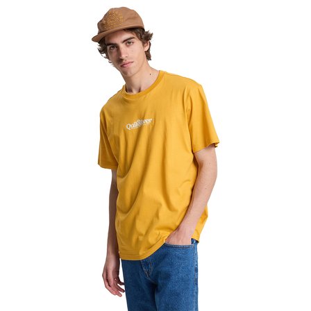 Quiksilver Erkek Tişört Fineline