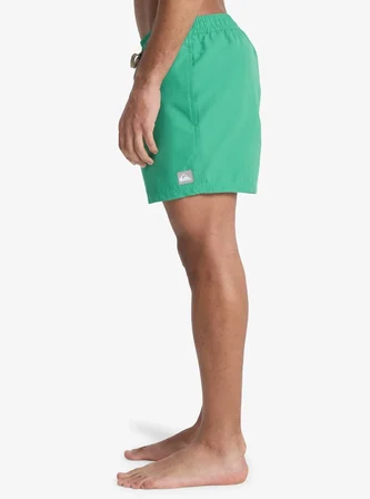 Quiksilver Everyday 15 Erkek Şort EQYJV04120