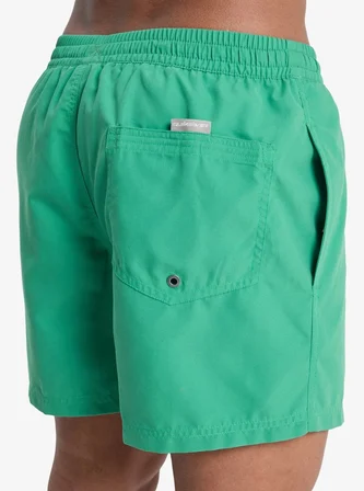 Quiksilver Everyday 15 Erkek Şort EQYJV04120