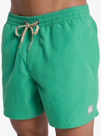 Quiksilver Everyday 15 Erkek Şort EQYJV04120