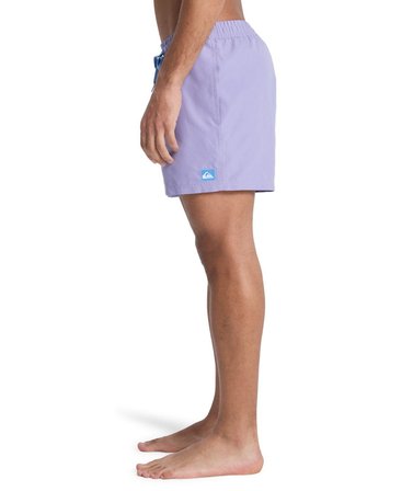 Quiksilver EVERYDAY 15 Erkek Şort EQYJV04120-QK.PKS0
