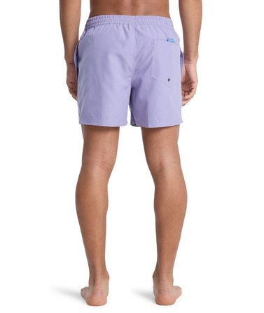 Quiksilver EVERYDAY 15 Erkek Şort EQYJV04120-QK.PKS0