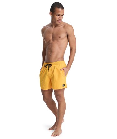 Quiksilver EVERYDAY 15 Erkek Şort EQYJV04120-QK.3091