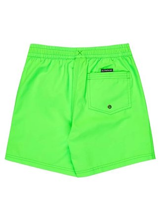 Quiksilver Yeşil Erkek Çocuk Şort Mayo EQBJV03543-EVD SOLID