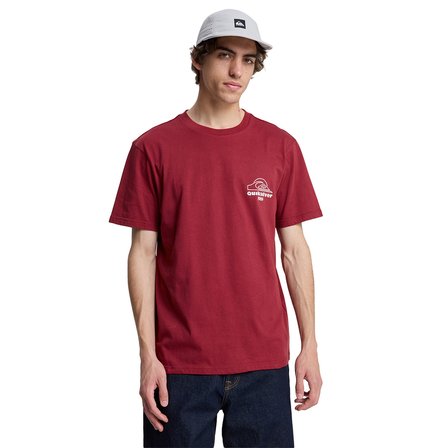 Quiksilver Erkek Tişört Bliss Point