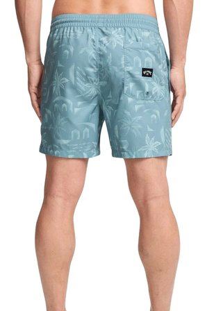 Billabong Vacay Lb Erkek Deniz Şortu