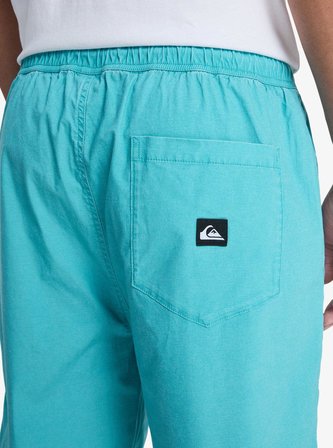 Quiksilver TAXERWS Erkek Şort EQYWS03915-QK.BJK0