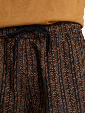 Quicksilver Erkek Şort TAXERJACQUARD EQYWS03909