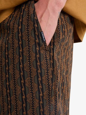 Quicksilver Erkek Şort TAXERJACQUARD EQYWS03909