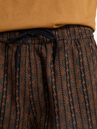 Quicksilver Erkek Şort TAXERJACQUARD EQYWS03909