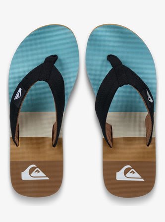 Quiksilver Molokai Layback Erkek Terlik-EQYL100093