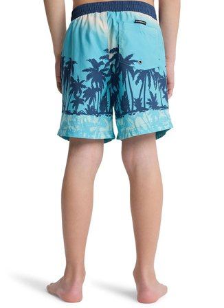 Quiksilver Mavi Erkek Çocuk Desenli Şort Mayo EQBJV03540-EVD PRINTED