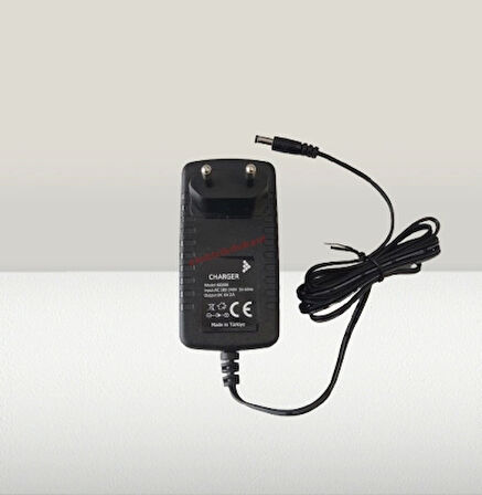 FULLY 6V 2A Fişli Adaptör Akü Şarj Adaptörü 5.5x2.5mm Jaklı + Maşa Kıskaçlı 2000mA