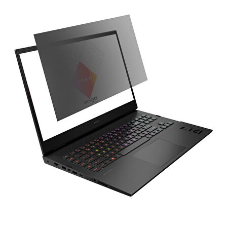 HP Omen 17-ck2005nt 17.3 inç Hayalet Ekran Koruyucu 16:9