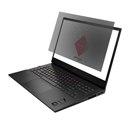 HP Omen 17-ck2005nt 17.3 inç Hayalet Ekran Koruyucu 16:9