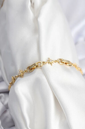 HEYF Pirinç VIP Seri Gold Renk Sıralı Kutup Yıldızı Kadın Bileklik