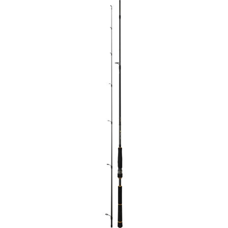 Daiwa New BG Seabass 244 cm 14-42 gr 2 Parça Spin Olta Kamışı