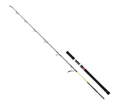 DAIWA GRANDWAVE 1,99M 220GR 1+1P JIG KAMIŞI 
