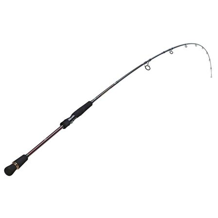 Daiwa infeet Seabass 251cm 10-35gr Spin Kamış