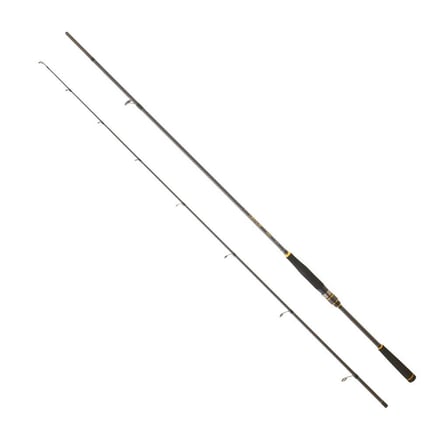 DAIWA LEGALIS SEABASS BF 2.13M, 10-35GR, 2P KAMIŞ