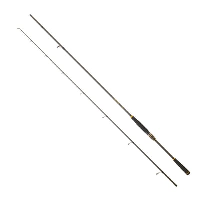 DAIWA LEGALIS SEABASS BF 2.74M, 14-56GR, 2P KAMIŞ