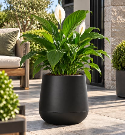 Omnipazar SO-ATL04 Atlas Dekoratif Plastik Modern Saksı 7 LT No: 4  