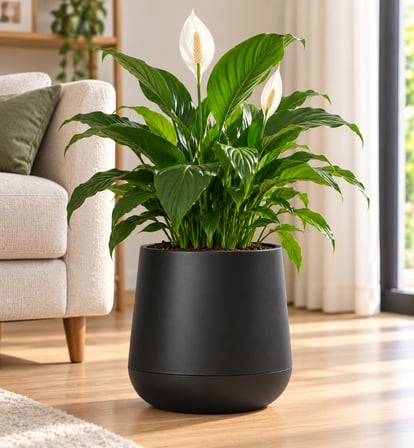 Omnipazar SO-ATL04 Atlas Dekoratif Plastik Modern Saksı 7 LT No: 4  