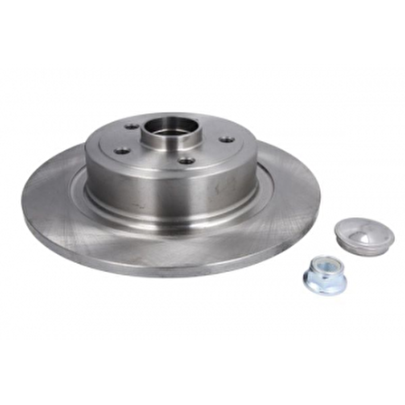 FREN DISKI ARKA RULMANLI MEGANE II 2.0 16V TURBO RS 5 BIJON - BRAXIS AE1028