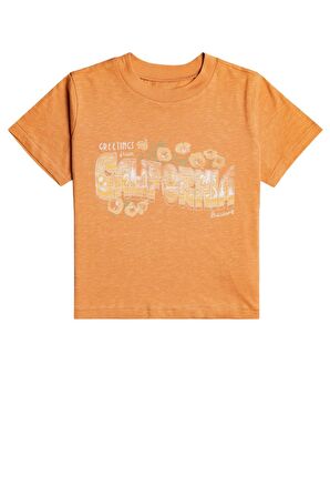 Billabong Cali Greetings Kadın Tişört  C3SS37