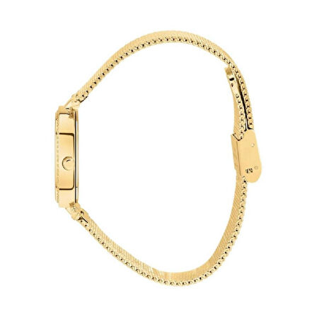 CLYDA CLA806DDD Kadın Kol Saati