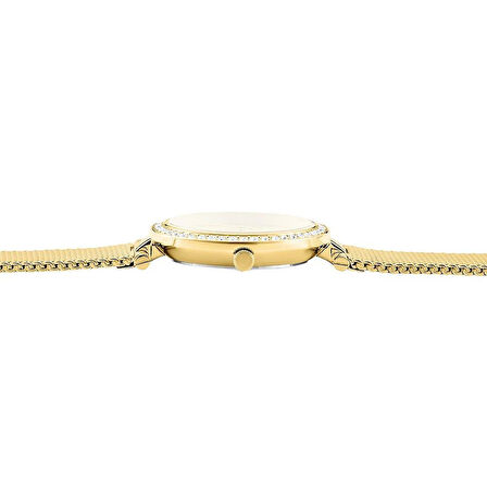 CLYDA CLA805DDD Kadın Kol Saati