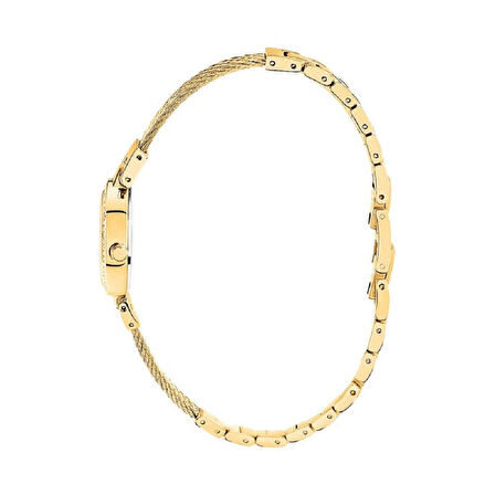 CLYDA CLA800DDD Kadın Kol Saati