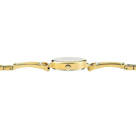 CLYDA CLA816DWD Kadın Kol Saati