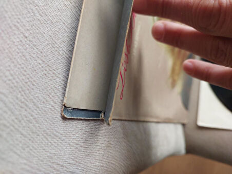 Neşe Karaböcek – Dost Bahçesi - 1979 Türkiya Basım Albüm LP Plak