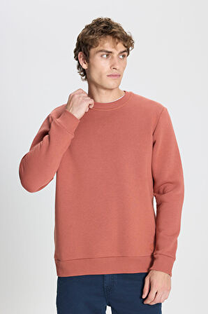 Erkek Açık Kahve Standart Fit Normal Kesim Içi Polarlı 3 Iplik Bisiklet Yaka Sweatshirt