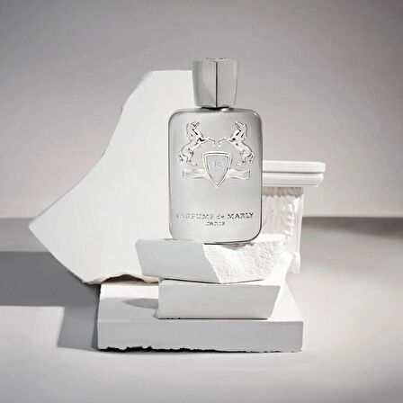 Parfums de Marly Pegasus EDP 125 ml Erkek Parfümü